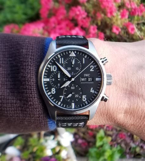 iwc pilot chronograph 41 review.